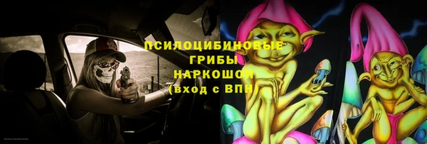молекула духа Карпинск
