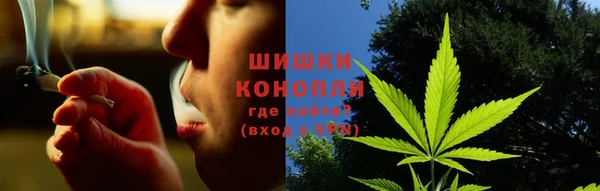 прущие грибы Киренск