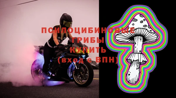 молекула духа Карпинск