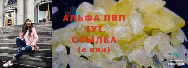 молекула духа Карпинск