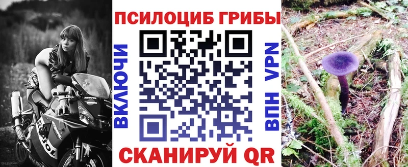 Галлюциногенные грибы GOLDEN TEACHER  сколько стоит  маркетплейс телеграм  Карталы 